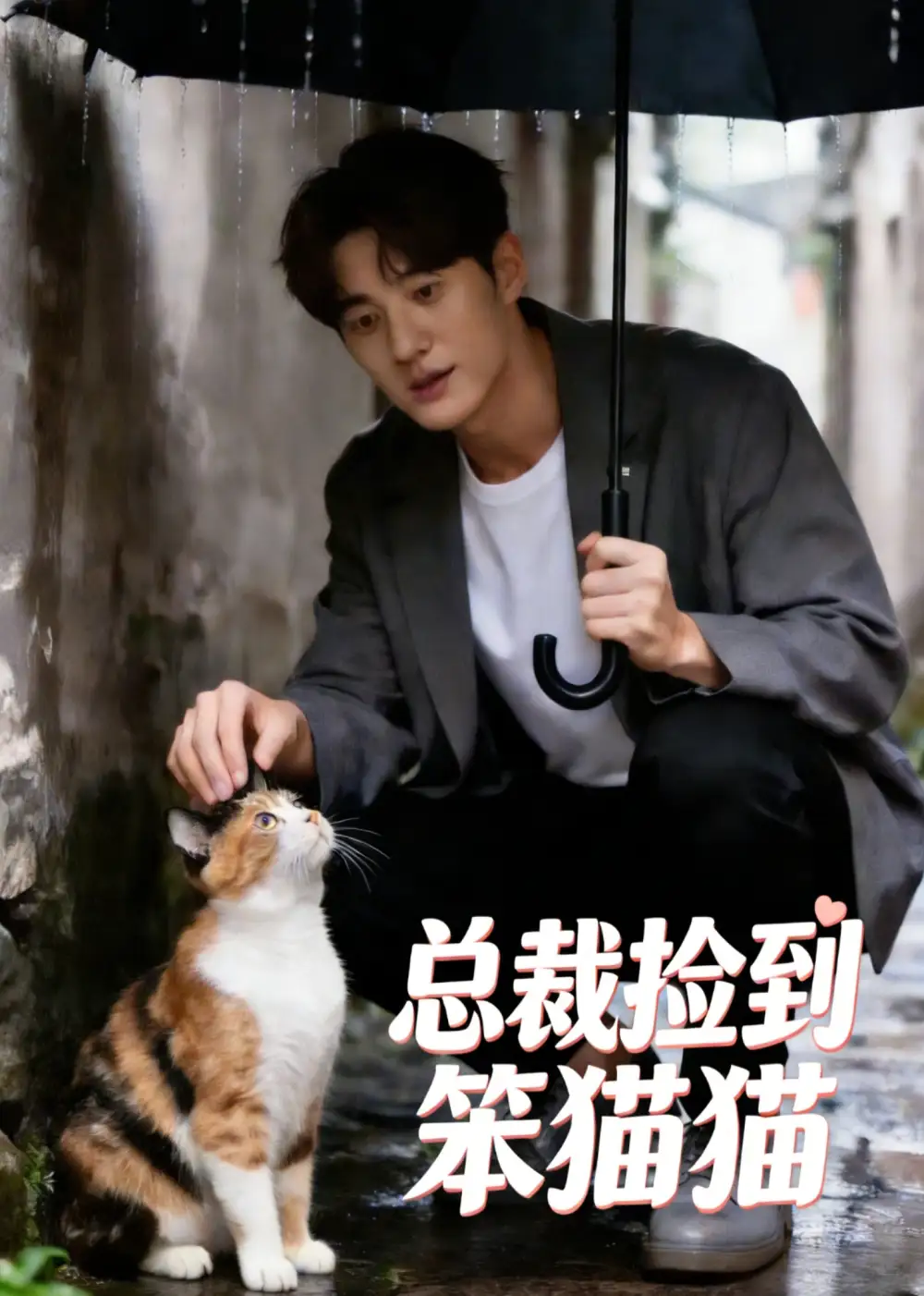 《总裁捡到笨猫猫（41集）AI短剧》短剧全集免费在线看