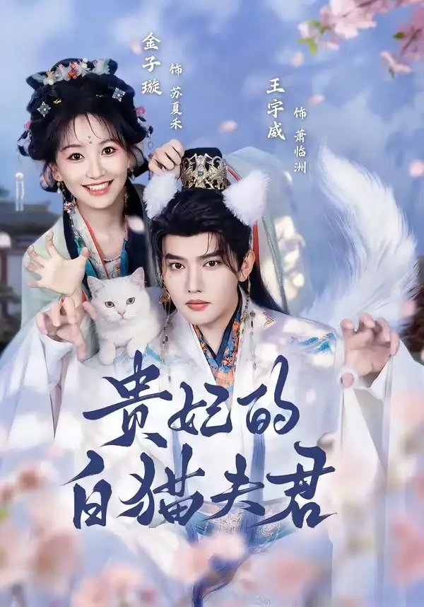《贵妃的白猫夫君（81集）王宇威＆金子璇》短剧全集免费在线看