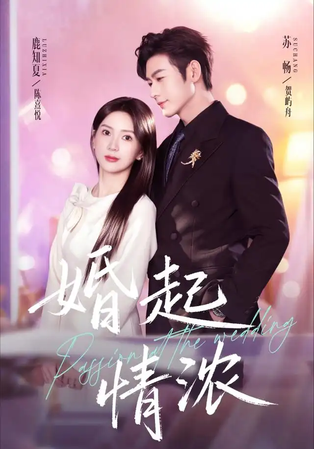 《婚起情浓（99集）苏畅＆鹿知夏》短剧全集免费在线看