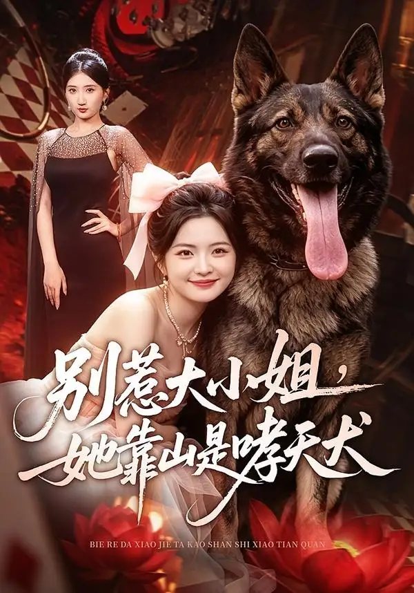 《别惹大小姐，她靠山是哮天犬&别惹大小姐她靠山是哮天犬（86集）常珂欣＆刘继泽》短剧全集免费在线看