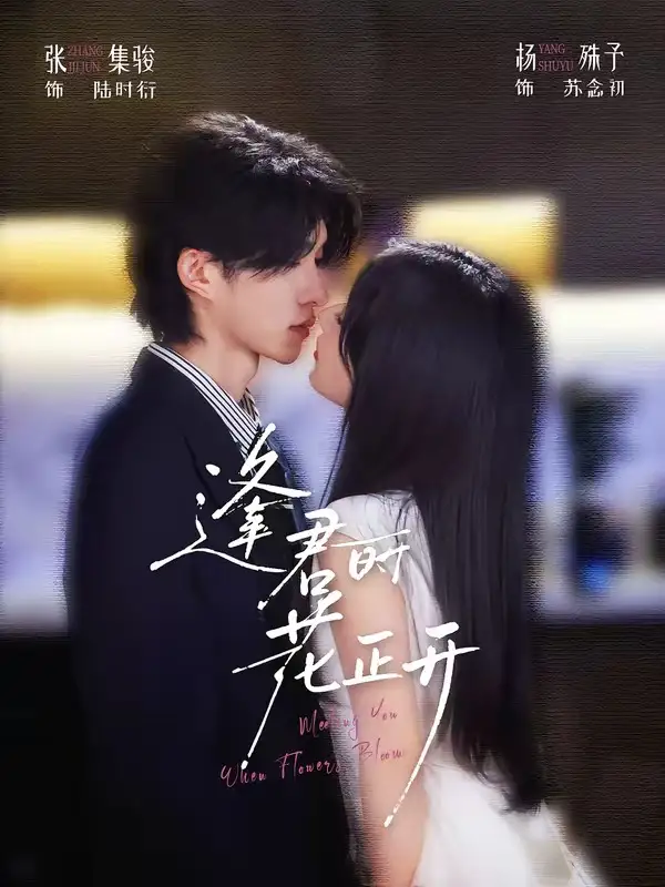 《逢君时花正开（72集）张集骏＆杨殊予（1080P）》短剧全集免费在线看