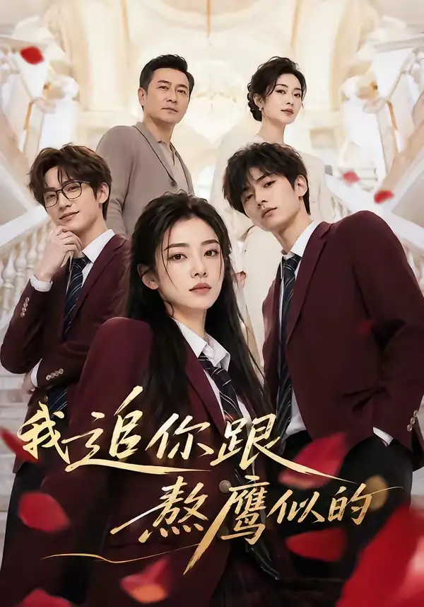 《我追你跟熬鹰似的（95集）AI短剧》短剧全集免费在线看