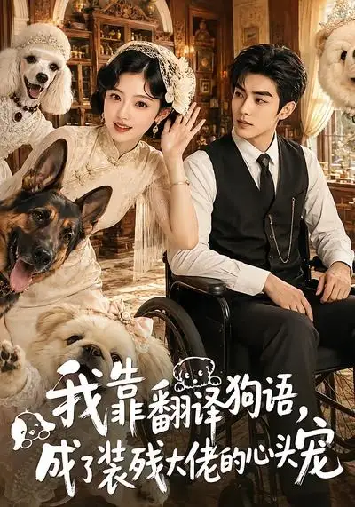 《我靠翻译狗语，成了装残大佬的心尖宠&我靠翻译狗语成了装残大佬的心尖宠（80集） AI短剧》短剧全集免费在线看