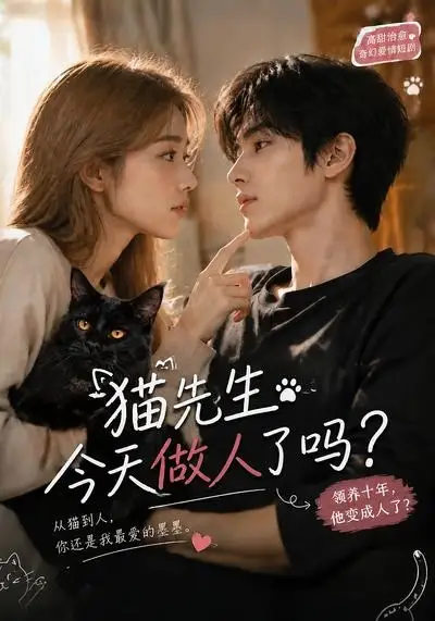 《猫先生今天做人了吗？&猫先生今天做人了吗（84集）AI短剧》短剧全集免费在线看