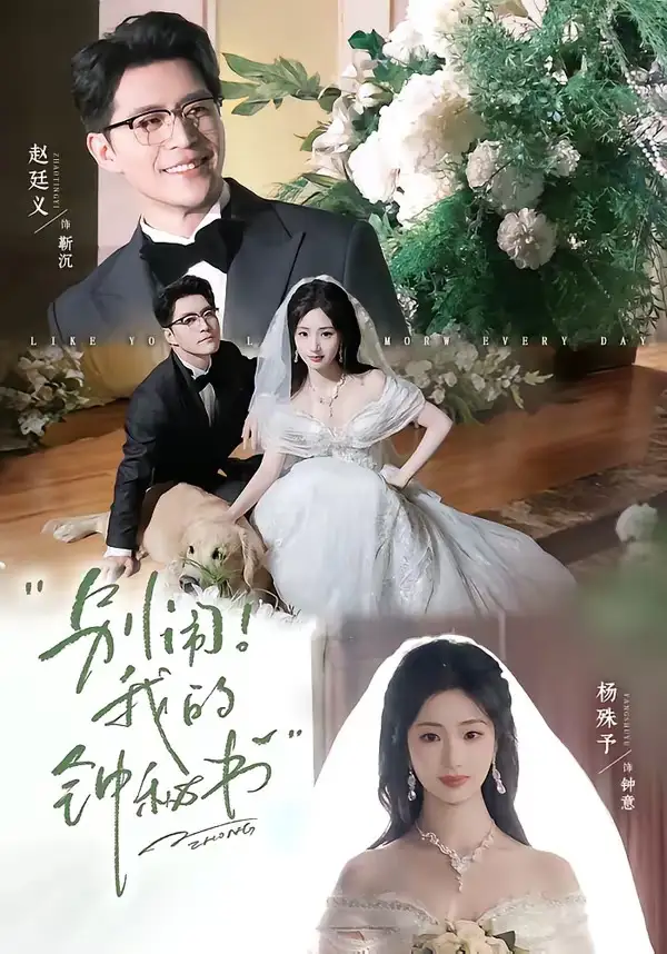 《别闹！我的钟秘书（84集）杨殊予&赵廷义》短剧全集免费在线看