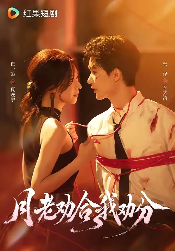 《月老劝合我劝分（69集）杨泽&崔一梁》短剧全集免费在线看