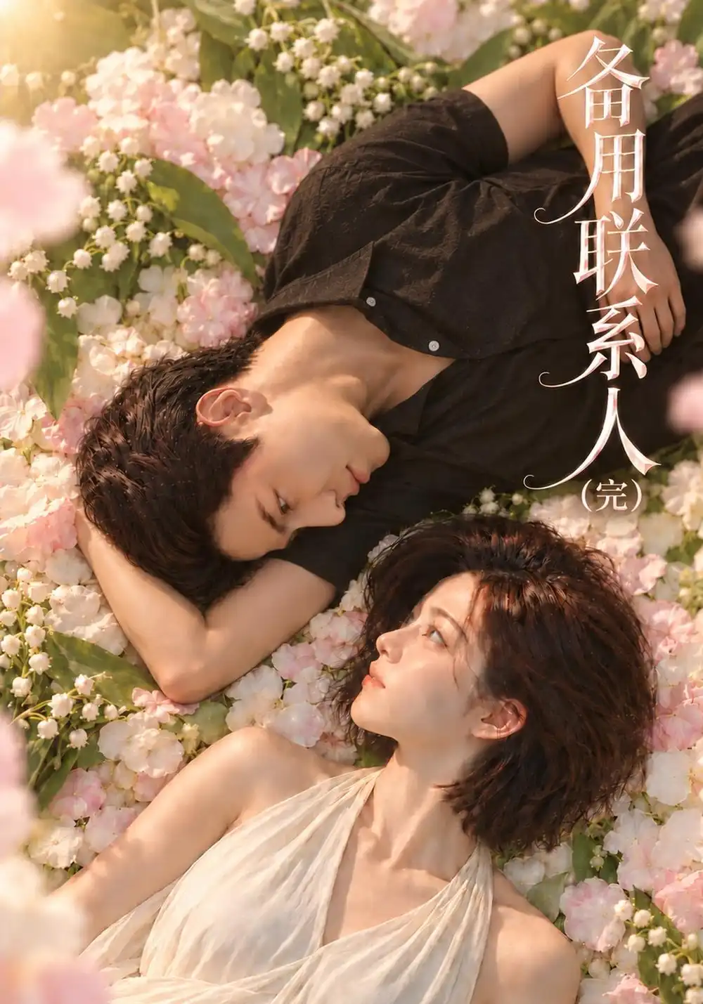 《备用联系人（完）&备用联系人完（106集）AI短剧》短剧全集免费在线看