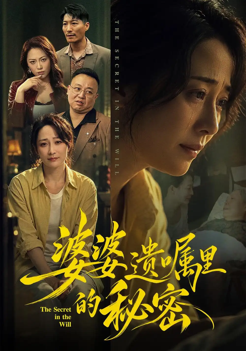 《婆婆遗嘱里的秘密（61集）邬倩＆时晓飞》短剧全集免费在线看